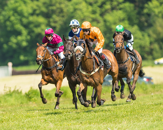 Ladies Open