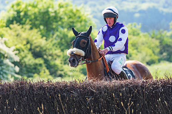 Young Horse Maiden