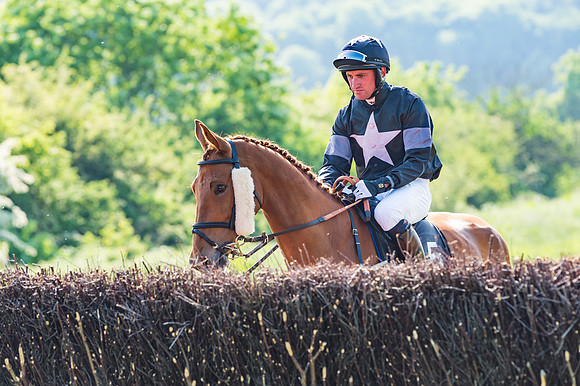 Young Horse Maiden