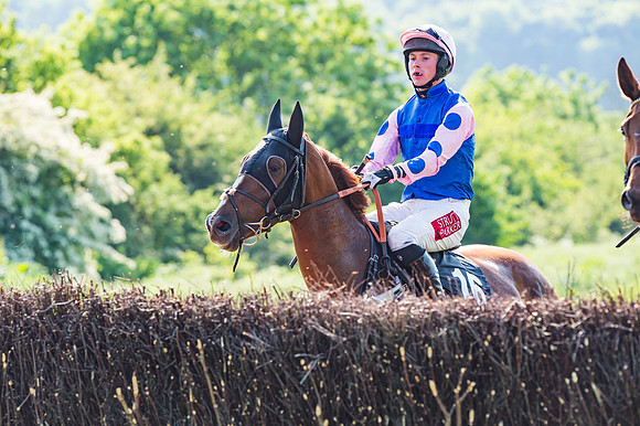 Young Horse Maiden