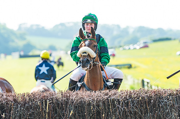Young Horse Maiden
