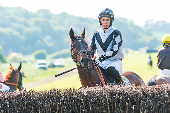 Young Horse Maiden