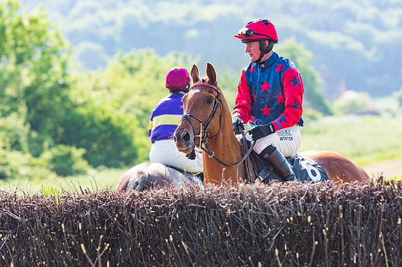 Young Horse Maiden