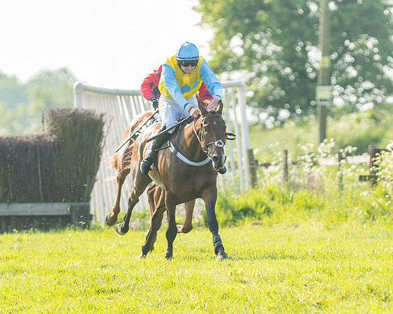 Young Horse Maiden