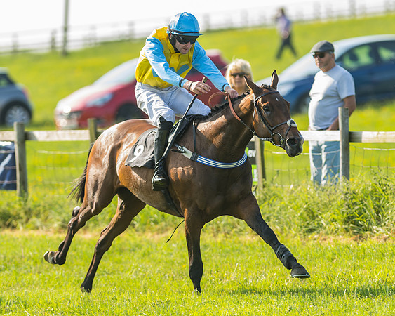 Elyaqim - Tommy O'Brien