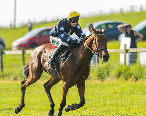 Young Horse Maiden