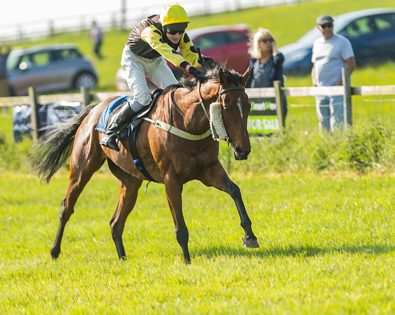 Young Horse Maiden