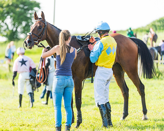 Young Horse Maiden