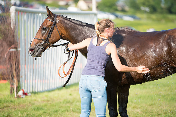 Young Horse Maiden