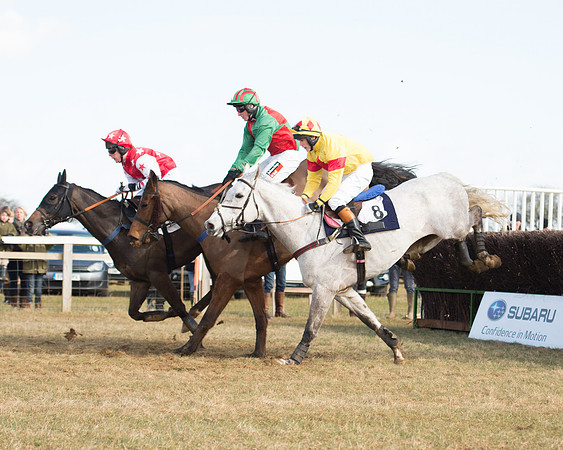 Race 1 - 4-5-6 Maiden (91 of 119).jpg