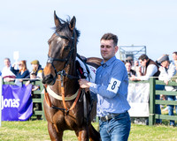 Race 5 - PPORA Five years and over (15 of 163)