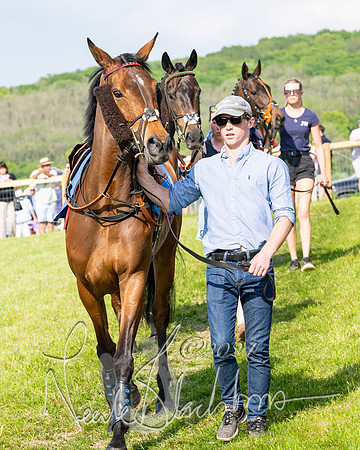 Race 5  - Maiden race 2m5F Div-2 (31 of 205)