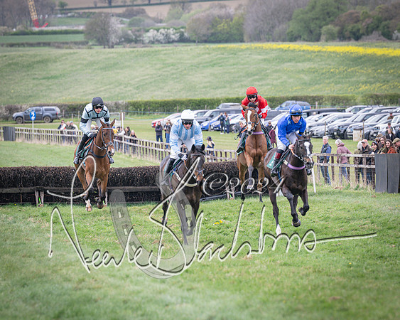 Race 2 - Tattersalls Cheltenham 4 year old Maiden (18 of 85)