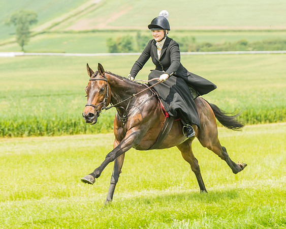 Side Saddle Dash  (8 of 55)