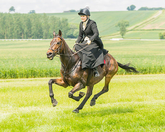 Side Saddle Dash  (9 of 55)