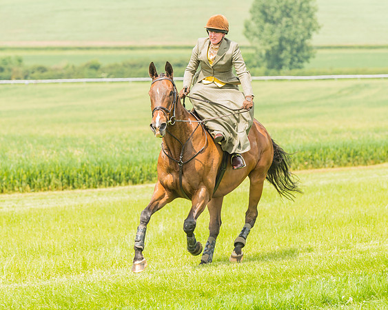 Side Saddle Dash  (10 of 55)