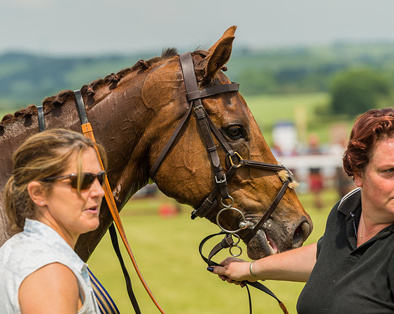 Side Saddle Dash  (26 of 55)