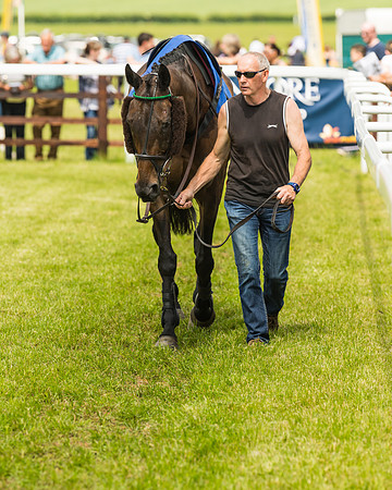 Race 1  - Hunt Members (6 of 76)