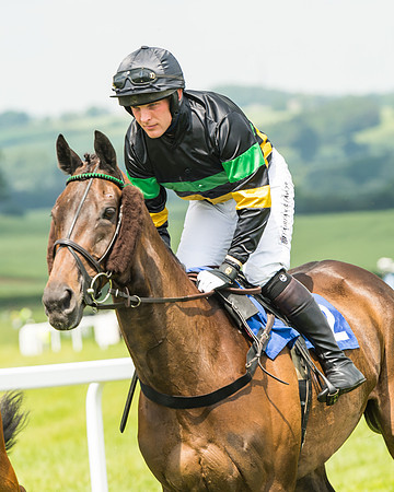 High Kite and Billy Aprahamian