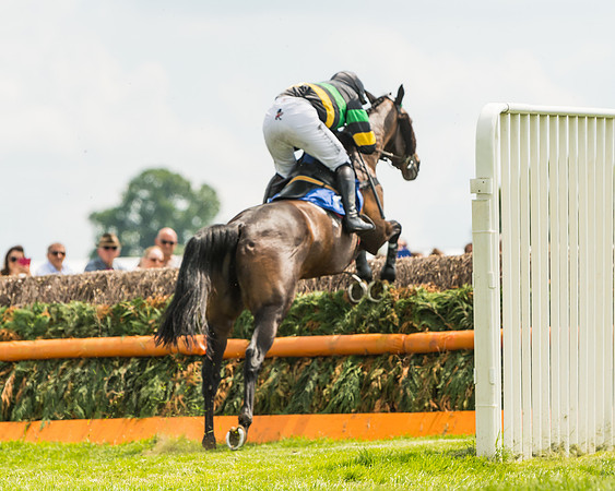 High Kite and Billy Aprahamian