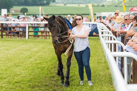 Race 2  - Mares Maiden (14 of 90)