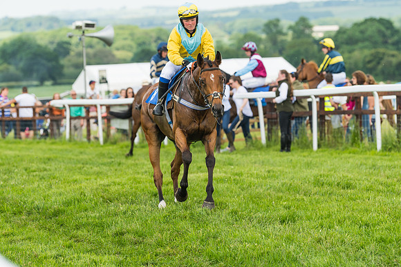 Race 2  - Mares Maiden (15 of 90)