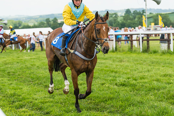 Race 2  - Mares Maiden (16 of 90)