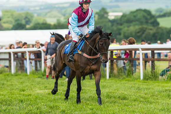 Race 2  - Mares Maiden (17 of 90)