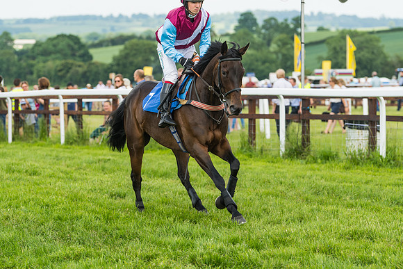 Race 2  - Mares Maiden (18 of 90)
