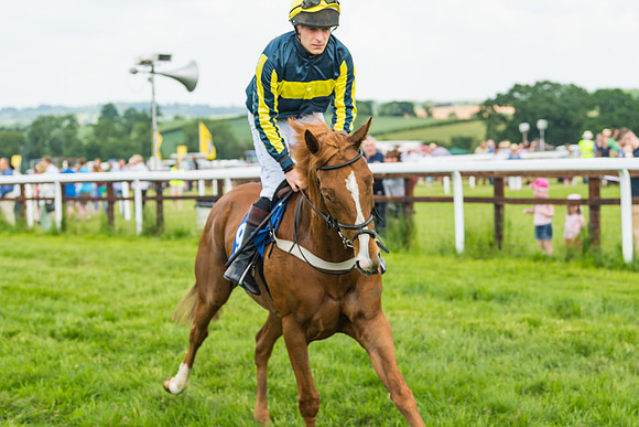 Race 2  - Mares Maiden (19 of 90)