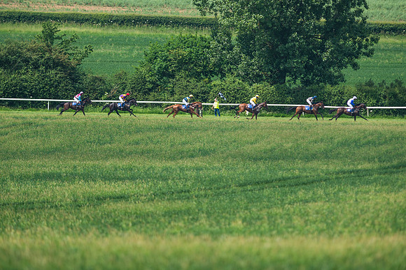 Race 2  - Mares Maiden (22 of 90)