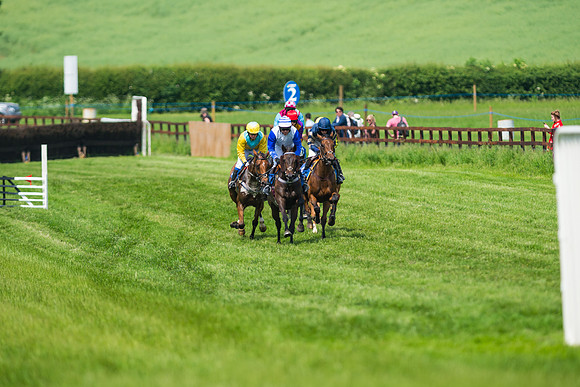 Race 2  - Mares Maiden (23 of 90)