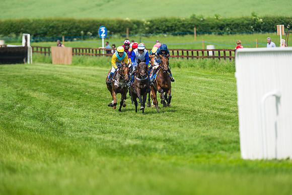 Race 2  - Mares Maiden (24 of 90)