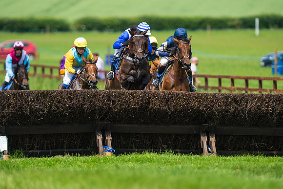 Race 2  - Mares Maiden (25 of 90)