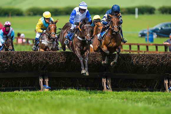 Race 2  - Mares Maiden (28 of 90)