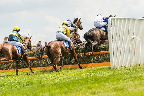 Race 2  - Mares Maiden (33 of 90)