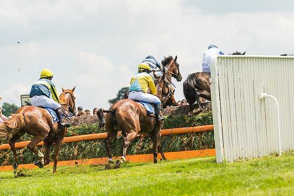 Race 2  - Mares Maiden (34 of 90)