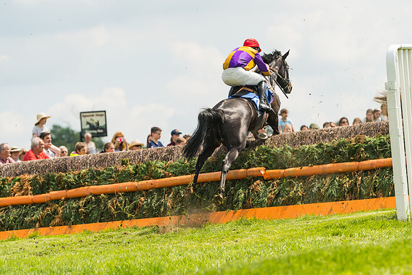 Race 2  - Mares Maiden (39 of 90)
