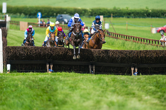 Race 2  - Mares Maiden (42 of 90)