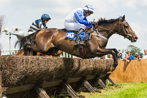 Race 2  - Mares Maiden (49 of 90)