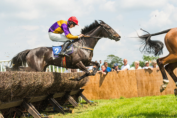Race 2  - Mares Maiden (52 of 90)