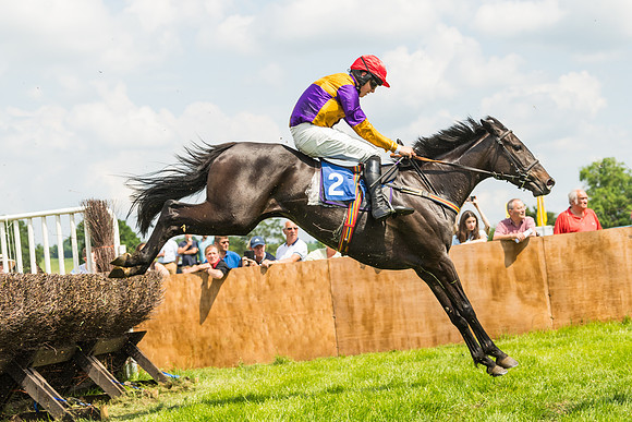 Race 2  - Mares Maiden (54 of 90)