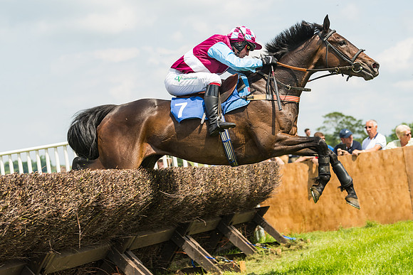 Race 2  - Mares Maiden (56 of 90)