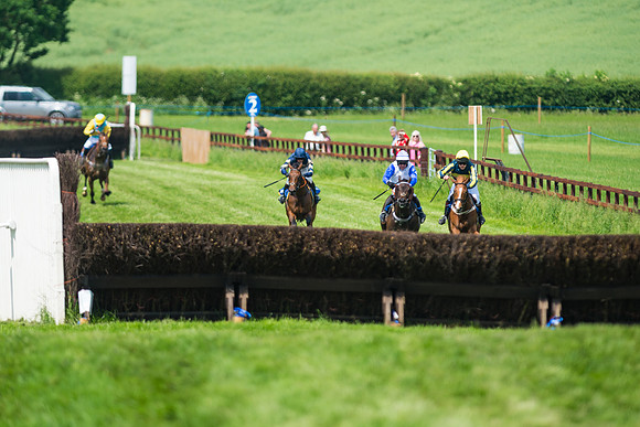 Race 2  - Mares Maiden (58 of 90)