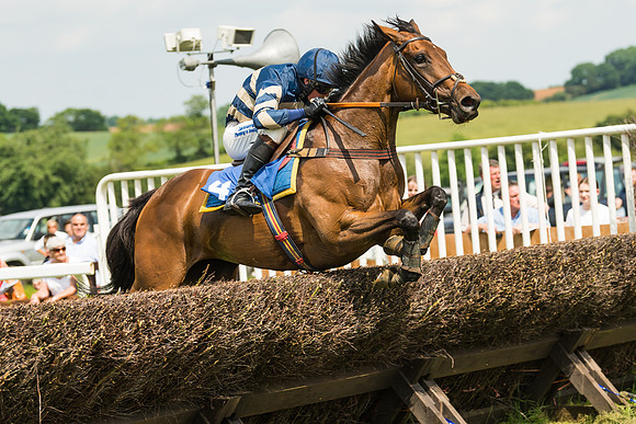 Race 2  - Mares Maiden (76 of 90)