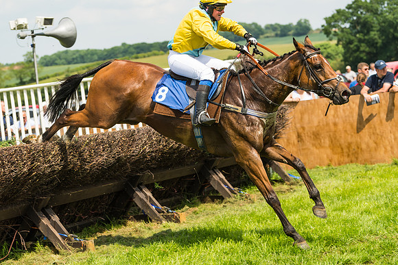 Race 2  - Mares Maiden (81 of 90)