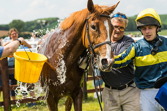 Race 2  - Mares Maiden (85 of 90)