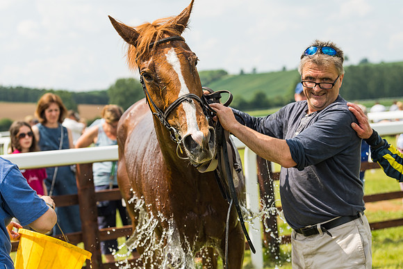 Race 2  - Mares Maiden (87 of 90)