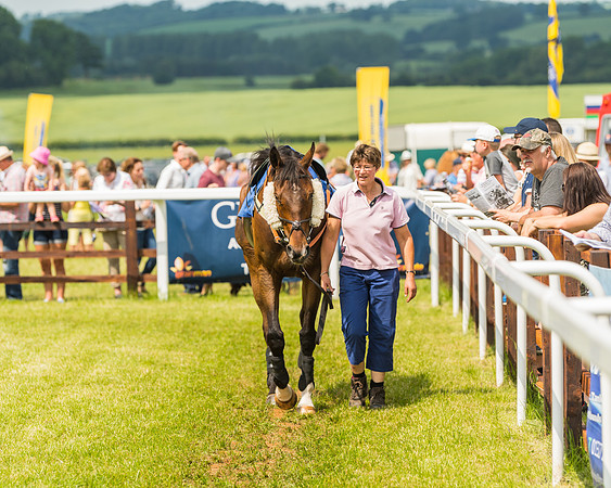 Race 3  - Open Maiden (3 of 67)