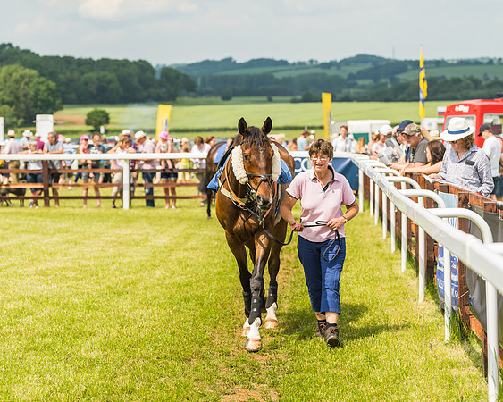 Race 3  - Open Maiden (4 of 67)